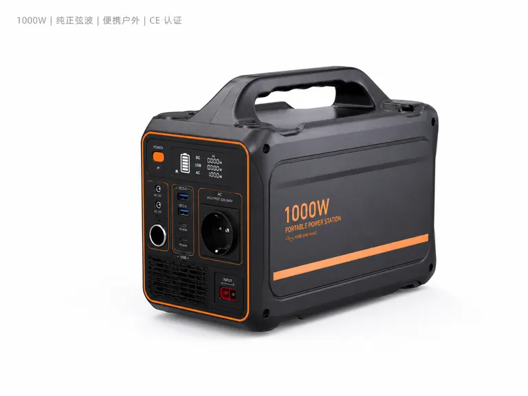 1000W Portable Power Inverter